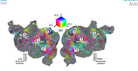 Figure 1 From Topographic Representation Of Visually Evoked Emotional