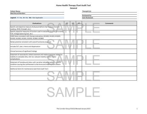 Mental Health Chart Audit Tool Template