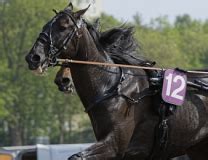 Izoard Védaquais remporte le Prix des Ducs de Normandie Idao de