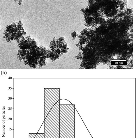 A Tem Image Of Maghemite Fe O Synthesis Using M Naoh And