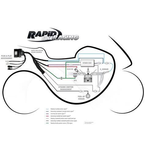 Centralina Rapid Bike Racing Exclusive Kit Per MOTO MORINI X CAPE 650