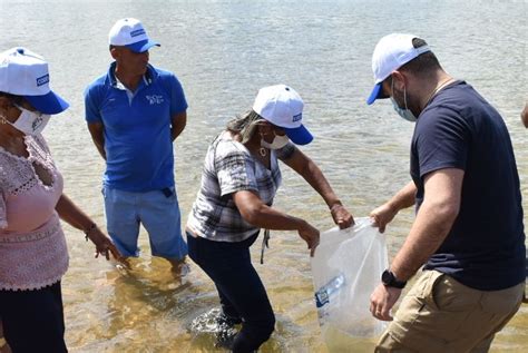 Codevasf Realiza Peixamento Em Sergipe Para Celebrar Dia Do Pescador