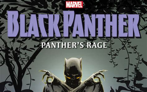 Learn More About Black Panther Panther S Rage By Sheree Ren E Thomas