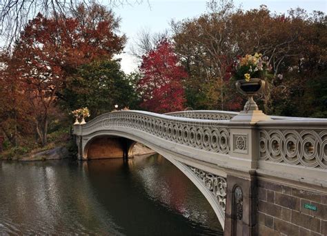 Small Bridge in Central Park Stock Photo - Image of bush, york: 10947454