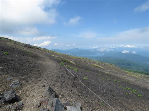 富士山須走口五合目の野鳥 ジュウイチ コルリ ビンズイ ルリビタキ 他 野鳥情報com