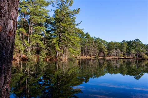 15 Best State Parks In Georgia With Cabins Campsites And Waterfalls