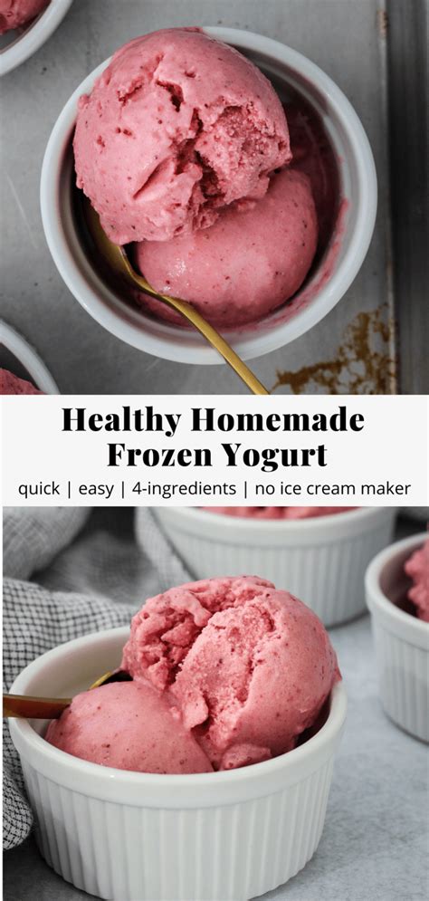 Healthy Homemade Greek Frozen Yogurt Artofit