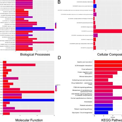 The GO And KEGG Functional Enrichment Analyses Of Overlapping DEGs In