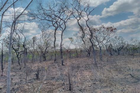 Incendios en Bolivia En 10 años se han afectado más de 5 millones de