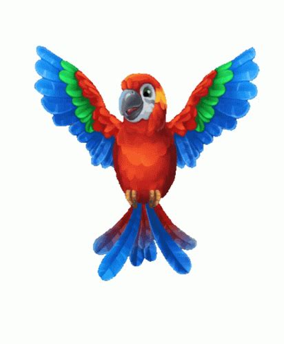 rio bird gif rio bird  discover share gifs bird gif