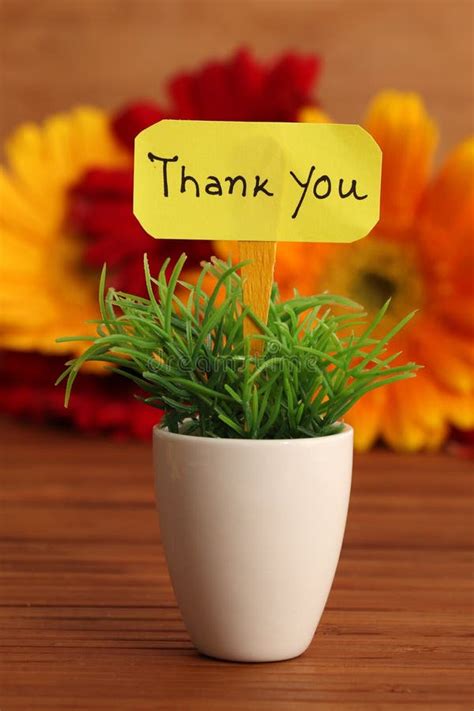 327 Thank You Environment Stock Photos Free And Royalty Free Stock