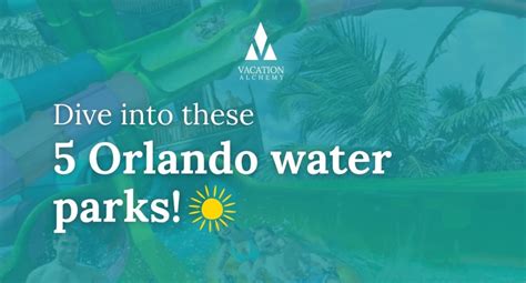 Dive into Fun: 5 Best Water Parks near Orlando - Vacation Alchemy