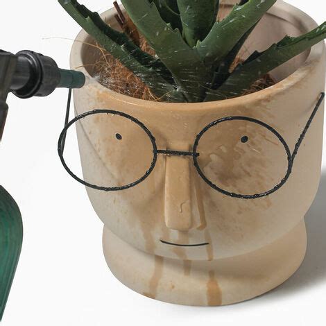 Tigrezy Cr Atif Lunettes Visage Pots De Plantes Cactus Pour Accueil