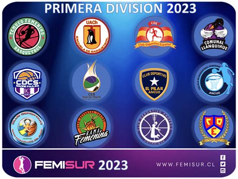 Equipos 2023 Femisur