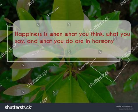 Inspirational Motivational Quotes Nature Background Stock Photo ...