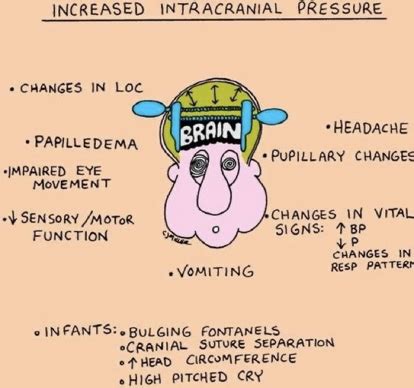 Intracranial Pressure Flashcards Quizlet