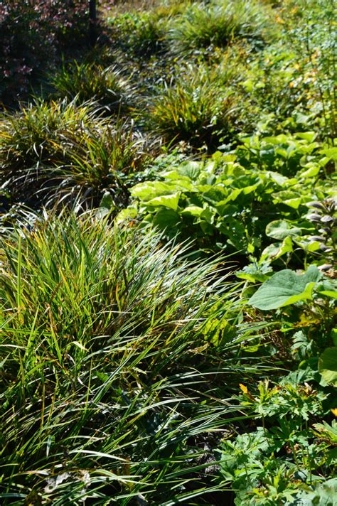 9 Bladplantenborders Bloemenpark Appeltern