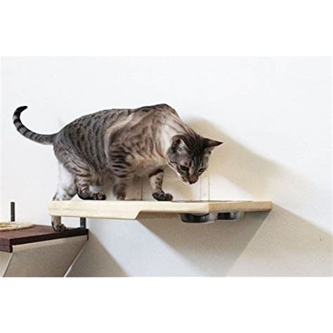 Catastrophicreations Cat Dining Table Handcrafted Wall Mounted Feeder