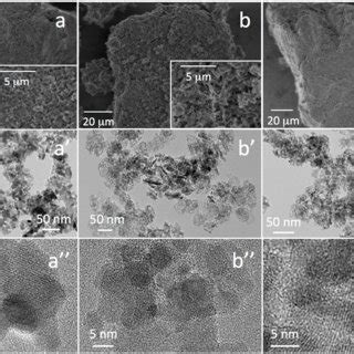 A C Sem A C Tem And A C Hr Tem Images Of Samples Of