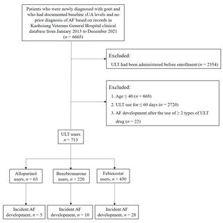 Patient Selection Flow Chart Abbreviations Af Atrial Fibrillation