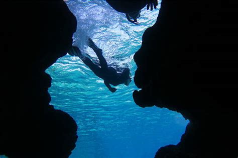 1,900+ Snorkeling Okinawa Stock Photos, Pictures & Royalty-Free Images - iStock