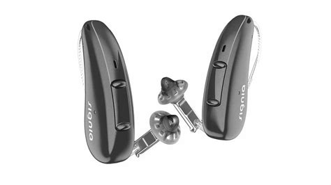 Signia Kit Pure Candg T 2ax Hearing Aid Receiver In Canal Open Fit Ric At ₹ 149990 In Surat