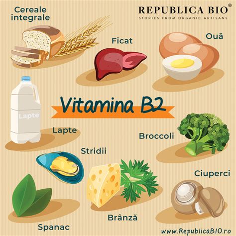 Vitamina B2: surse naturale, rol si beneficii – Republica BIO