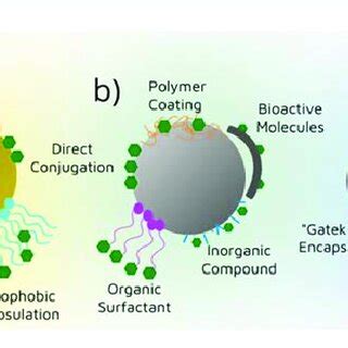 Inorganic Nanoparticles Surface Modification Possibilities A Gold