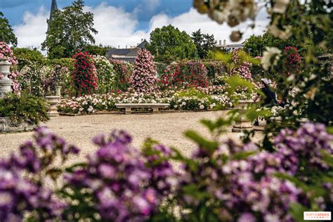 The Roseraie du Val de Marne at l Haÿ les Roses the world s first rose