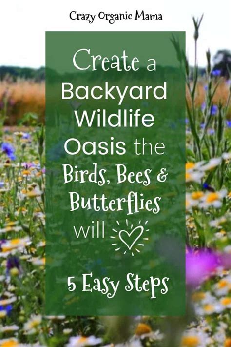 Building Your Own Backyard Wildlife Sanctuary Artofit