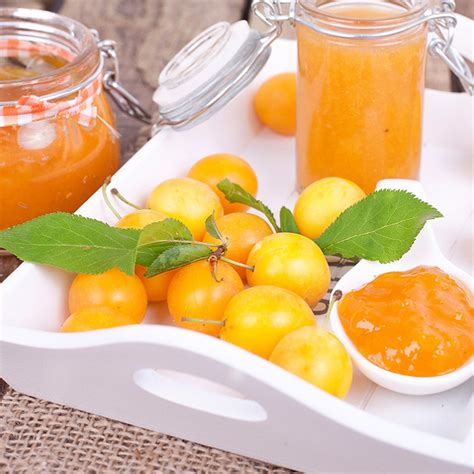 Recette Confiture De Mirabelles All G E