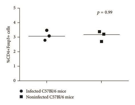 Frequency Of Foxp3⁺ Cd4⁺ T Regulatory Cells Tregs In P Yoelii