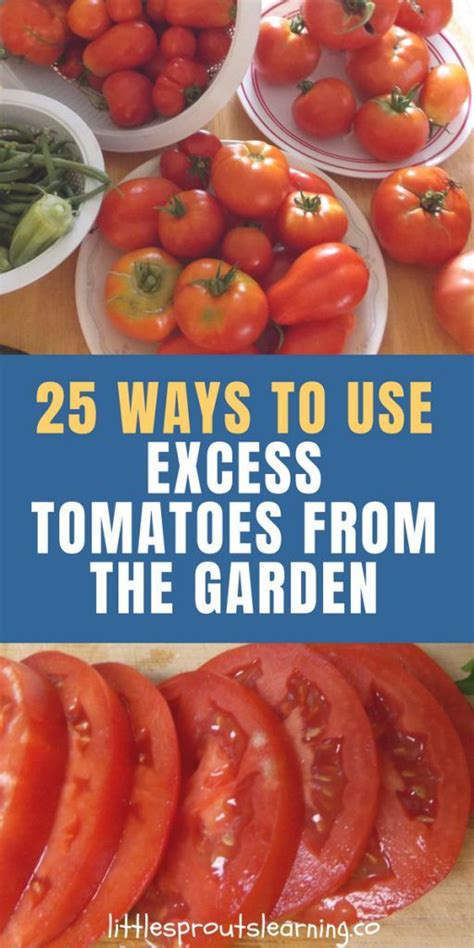 25 Ways To Use Excess Tomatoes From The Garden Fresh Tomato Recipes