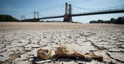 Científicos Preparan Anuncio De Nuevas Evidencias Sobre El Cambio Climático