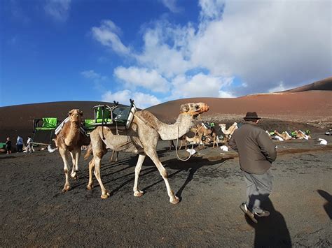 Postcard From Lanzarote The Platinum Line