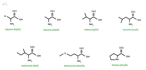 Amino Acids Structure On The Mcat Mcat Mastery