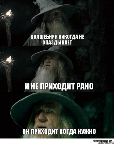 волшебник никогда не опаздывает и не приходит рано он приходит когда ...