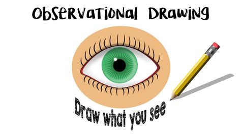 Observational Drawing Draw What You See Week 7 Youtube