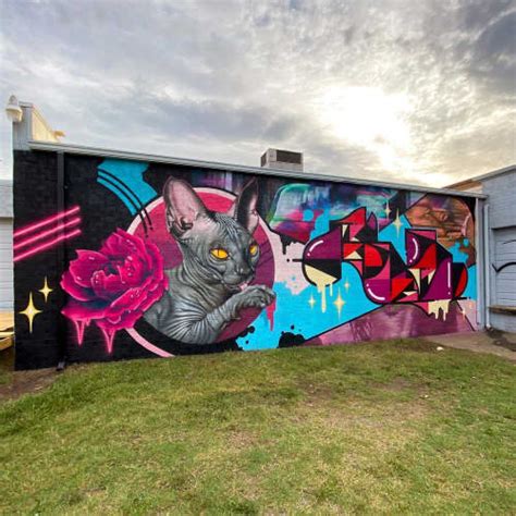 Sphinx Cat Mural By Kathryn Crawford Art Wescover Street Murals