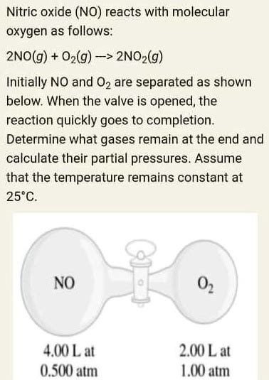 Nitric Oxide NO Reacts With Molecular Oxygen As Follows 2NO G O2