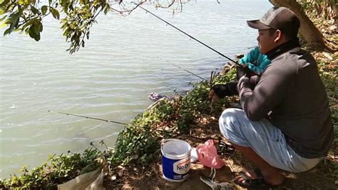 Mancing Baramudi Sungai Tak Semudah Di Empang Youtube