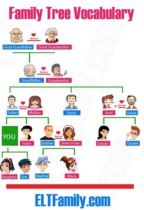 The Extended Family Vocabulary - armes