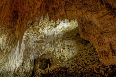 13 Things To Know Before Visiting Waitomo Caves Nz My Top Tips