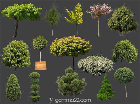 High Quality Png Tree And Bush Cutouts For Free From Architectural