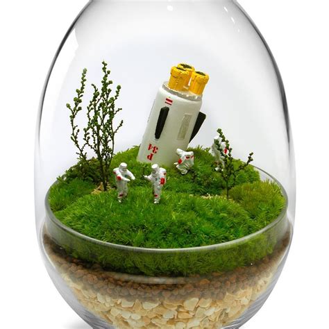 TerrariumArt glass 3001 - Design objects - Glass terrarium - Plants - Moss - TERRARIUMART | MOM ...