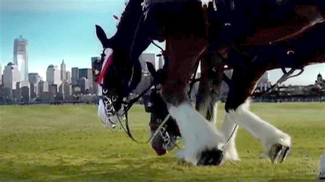 The Real Story Behind The A B Clydesdales 9 11 Commercial Fox 2