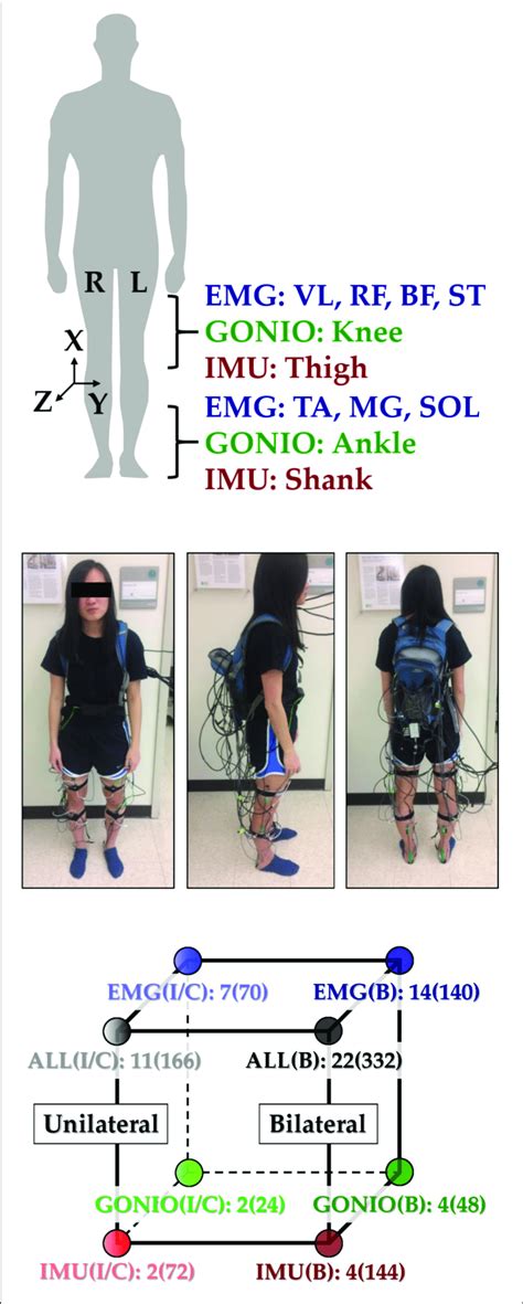 Instrumentation Setup Showing Emg Goniometer And Imu Sensor