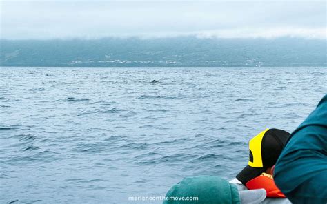 Whale Watching in Azores - Marlene On The Move