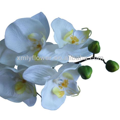 Orquídeas Phalaenopsis Artificial Buy Orquídeas Artificiales Product