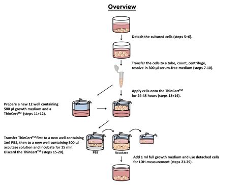 A Novel 3D Immune Oncology Model For High Throughput 45 OFF